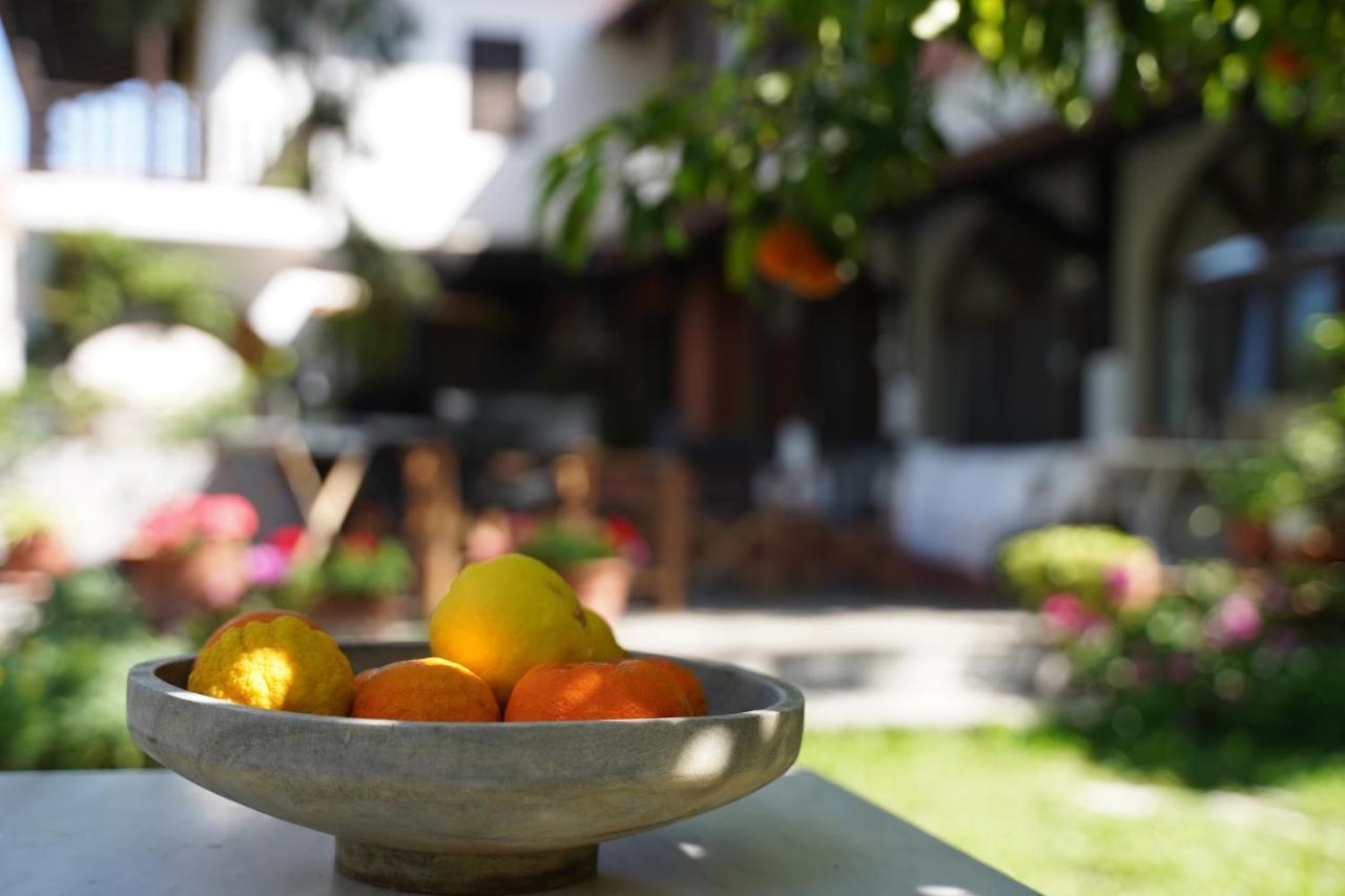 Alterra Vita نيوس مارماراس المظهر الخارجي الصورة